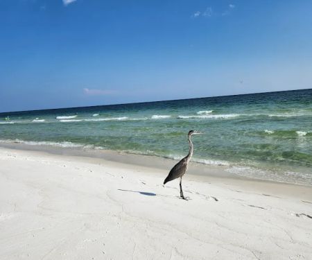 Fort Pickens Campground Loop A