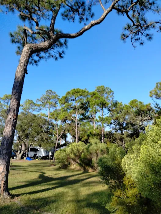 Fort Pickens Campground Loop A Picture 8