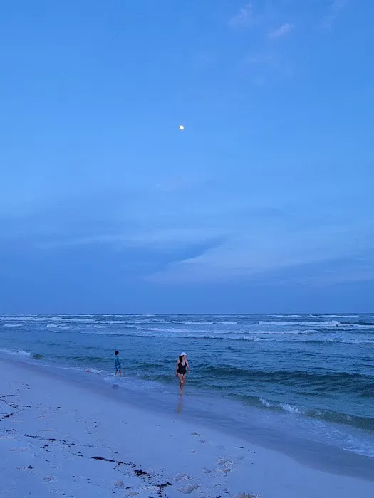 Fort Pickens Campground Loop A Picture 5