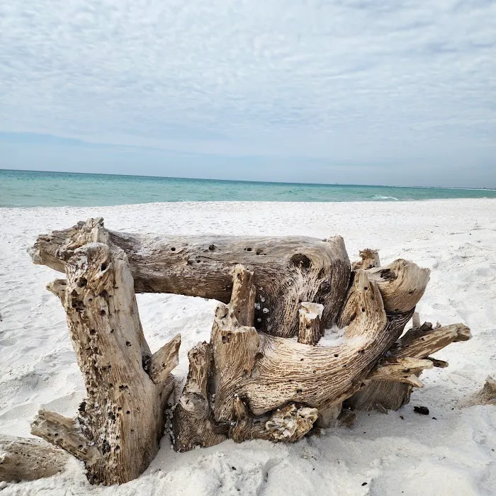 Fort Pickens Campground Loop A Picture 6