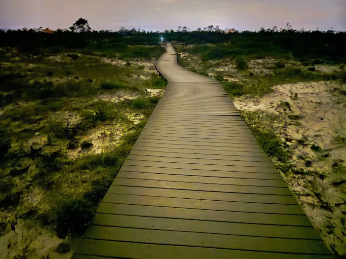 Fort Pickens Campground Loop A Picture 7