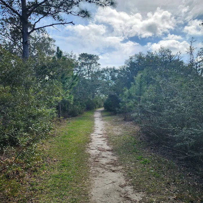 Fort Pickens Campground Loop A Picture 10