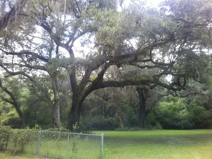 Nolte RV Park And Campground Picture 1
