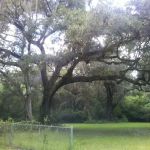 Nolte RV Park And Campground