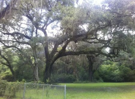 Nolte RV Park And Campground