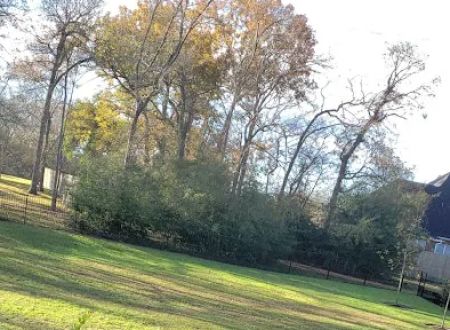 Trinity Parks Mobile Home Park