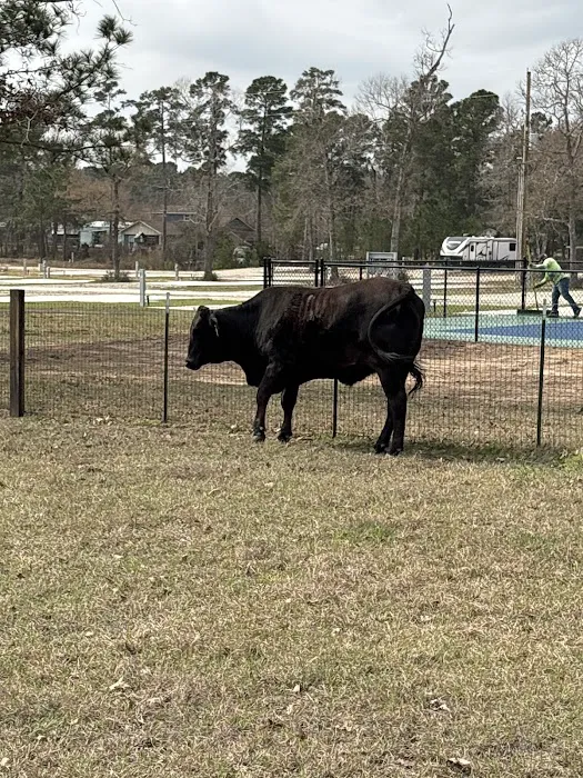 Indigo Hills RV Park Picture 5