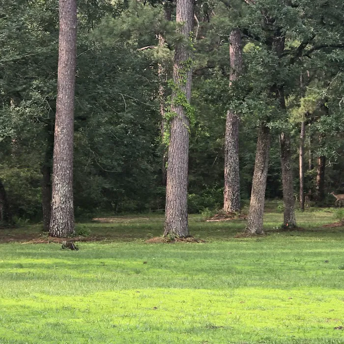 Pinewood Trails RV Park Picture 1