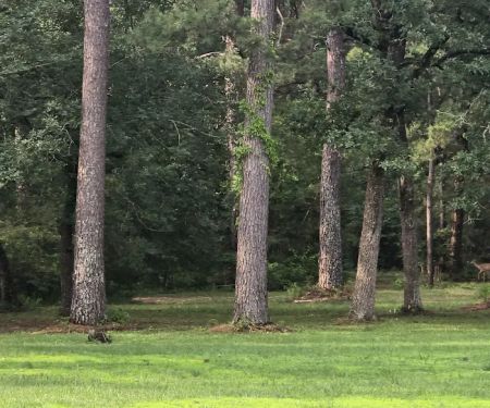 Pinewood Trails RV Park