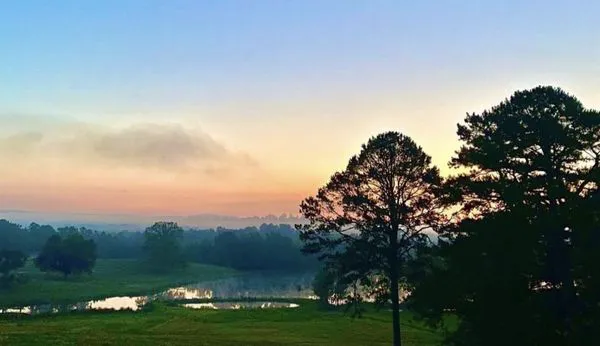 Mountain View RV Park Picture 7