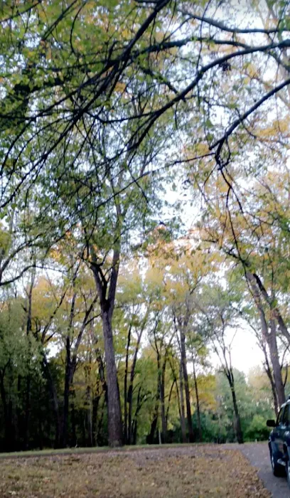 Clear Creek Park Campground Picture 10