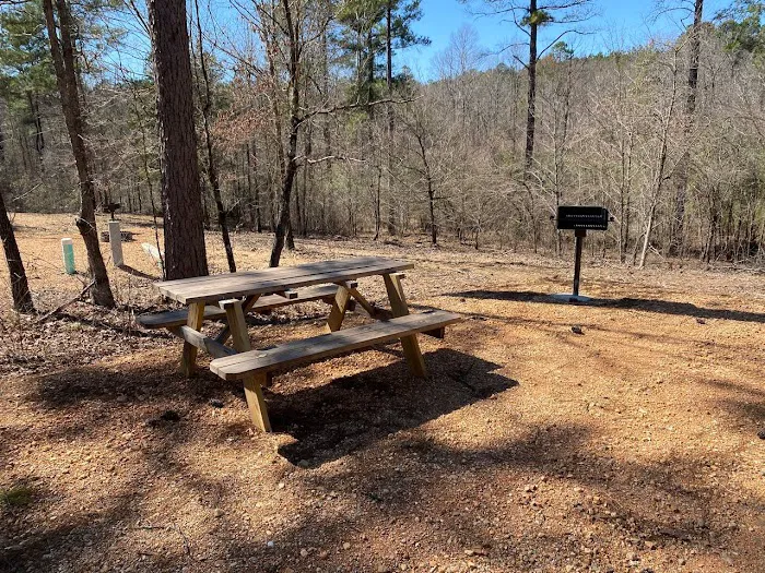 Kick it Back Cabins and RV Park Picture 4