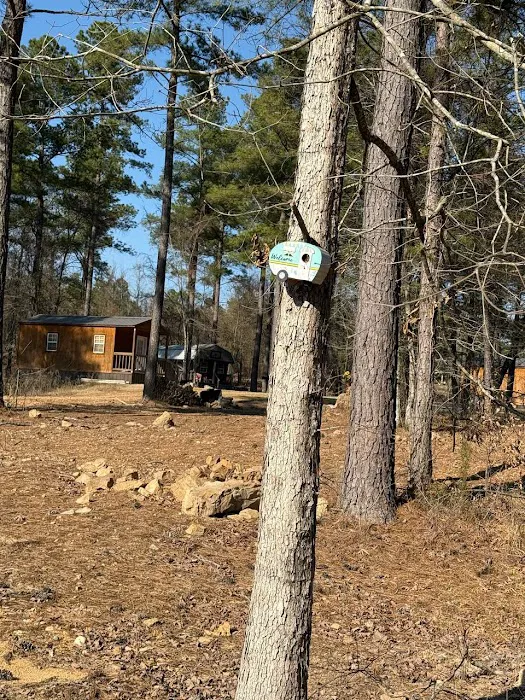 Kick it Back Cabins and RV Park Picture 7