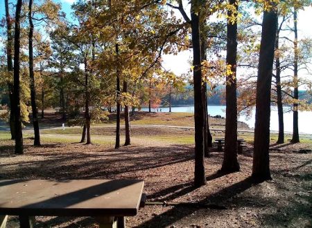 Recreation Area With Campground
