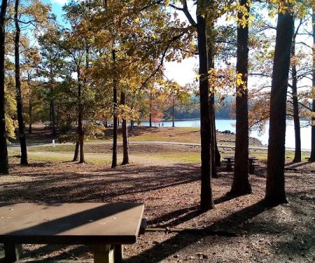 Recreation Area With Campground
