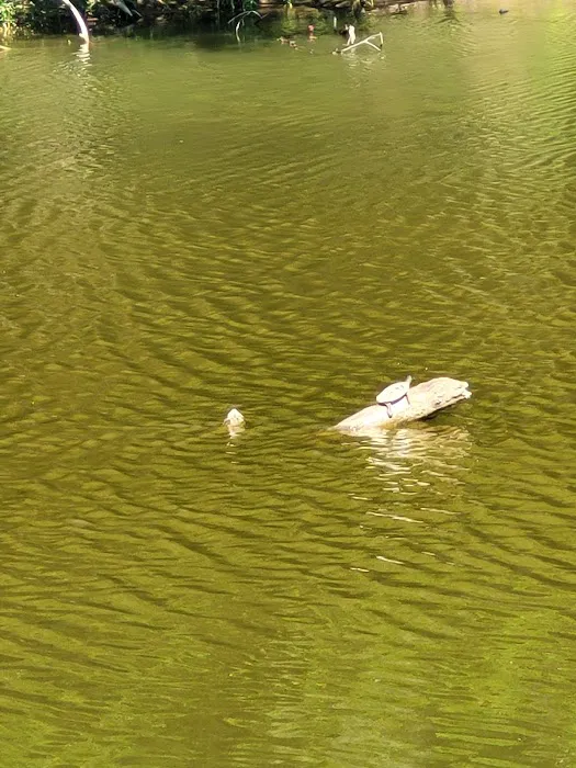 Riverside Park RV- City of Brownwood Picture 9