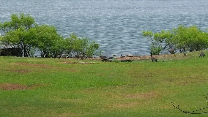 Pettit Bay Picture 9