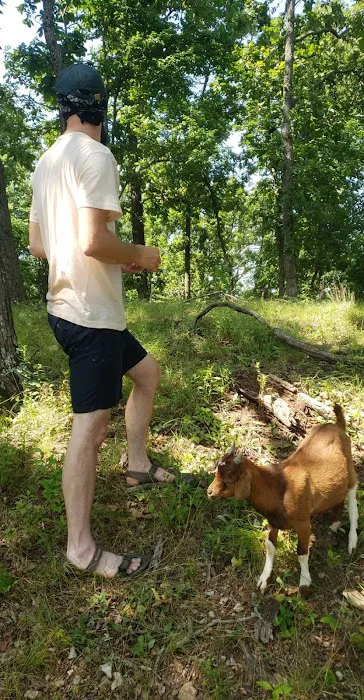 The real Goat Island Picture 8