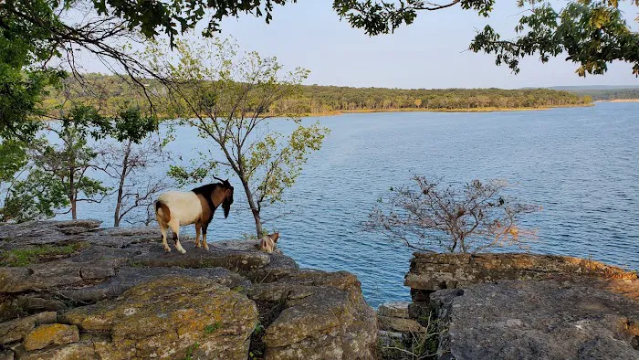 The real Goat Island Picture 9