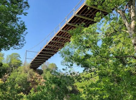 Regency Bridge Park LLC