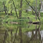 Silver Maple Watercraft Campsite