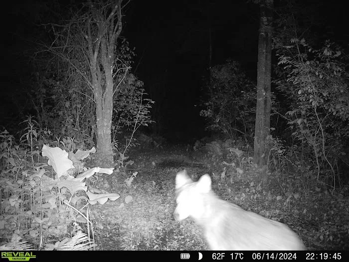 Bergamo Campground Picture 4