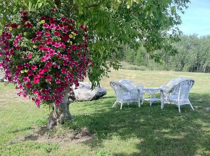 The Black Lantern Resort & Campground Picture 9