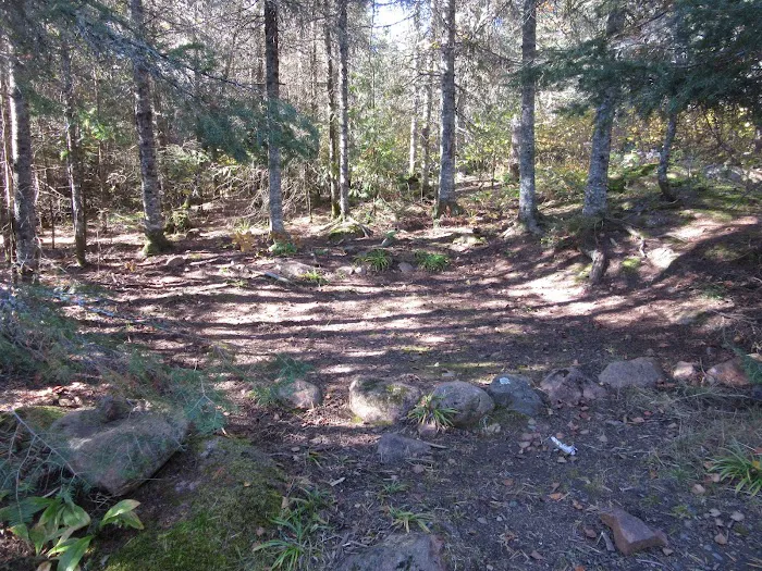 BWCA Campsite #913 Picture 5
