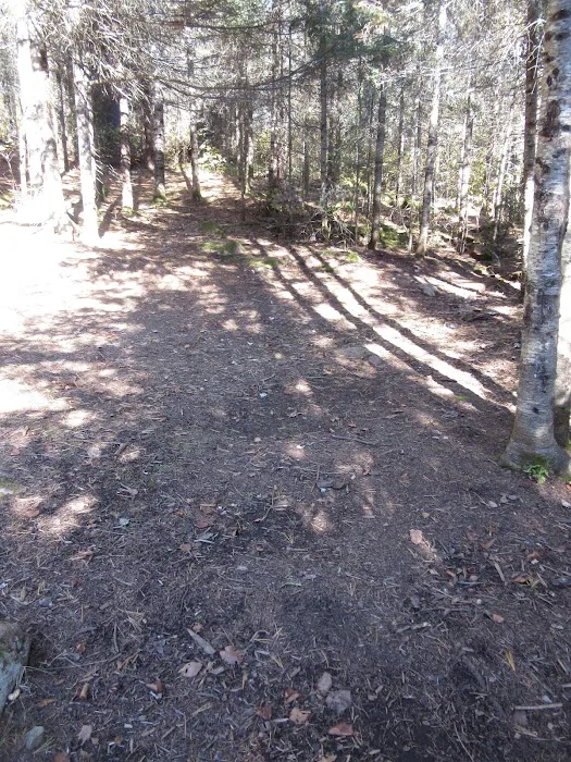 BWCA Campsite #913 Picture 6