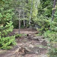 BWCA Campsite #916 ico