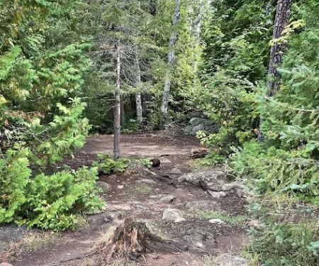 BWCA Campsite #916