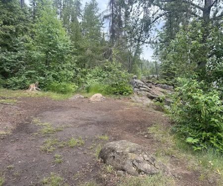 BWCA Campsite #877