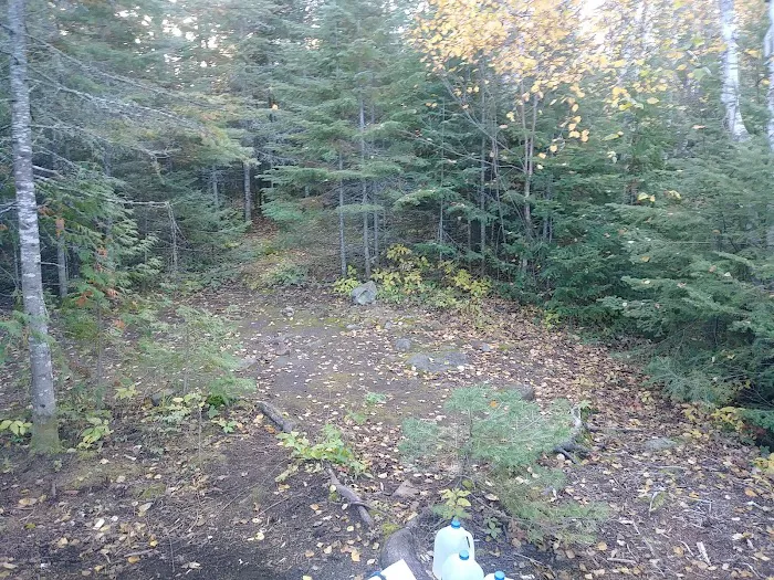 BWCA Campsite #945 Picture 7