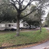 Bearazinga RV Park ico