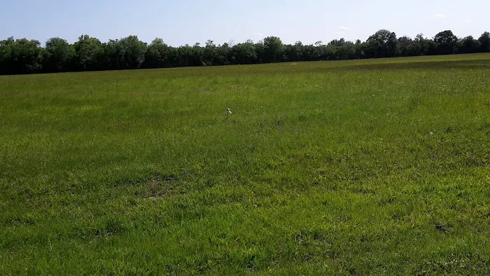 Bearazinga RV Park Picture 9