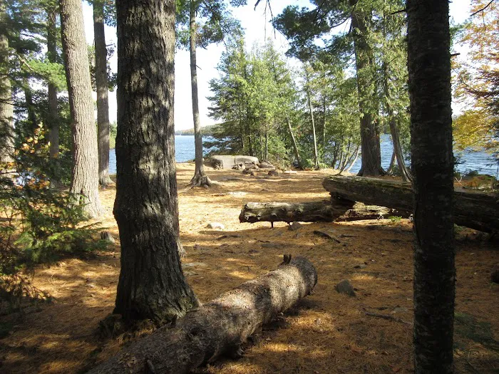 BWCA Campsite #941 Picture 9