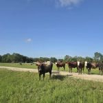 365 RV Park
