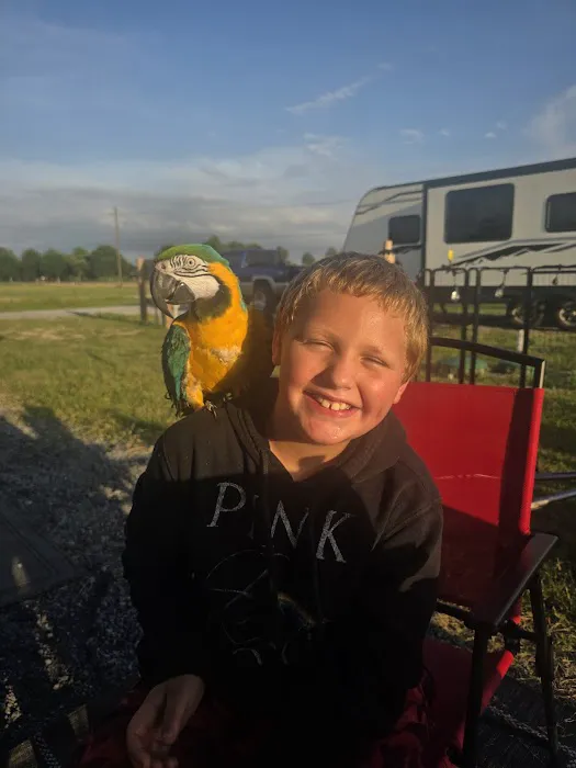 365 RV Park Picture 6