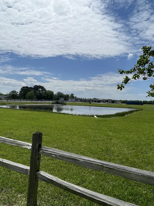 All Undercover RV Park Picture 4