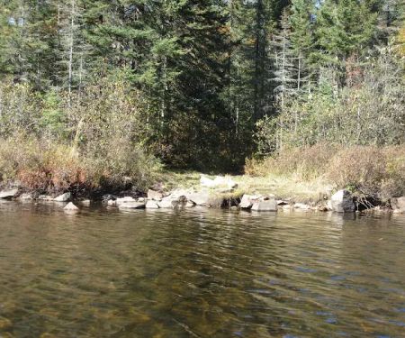 BWCA Campsite #948