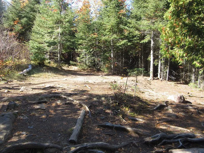 BWCA Campsite #948 Picture 4