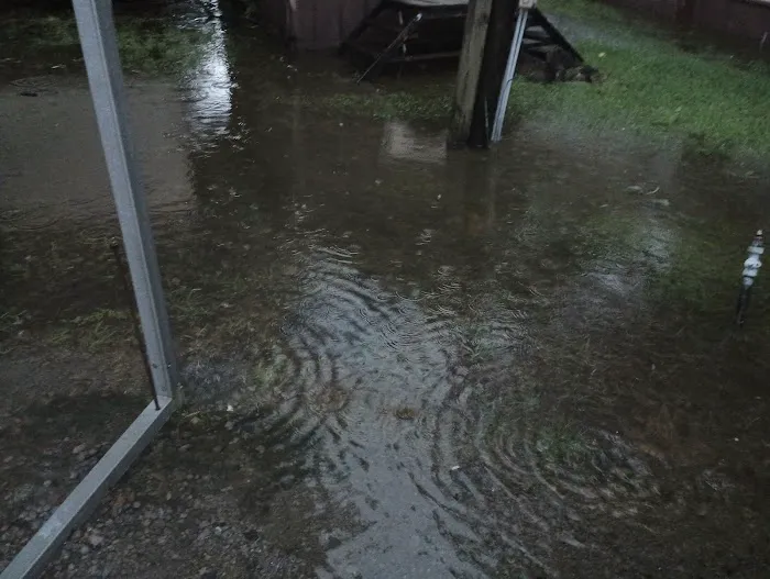 Charlie's RV Park Picture 1