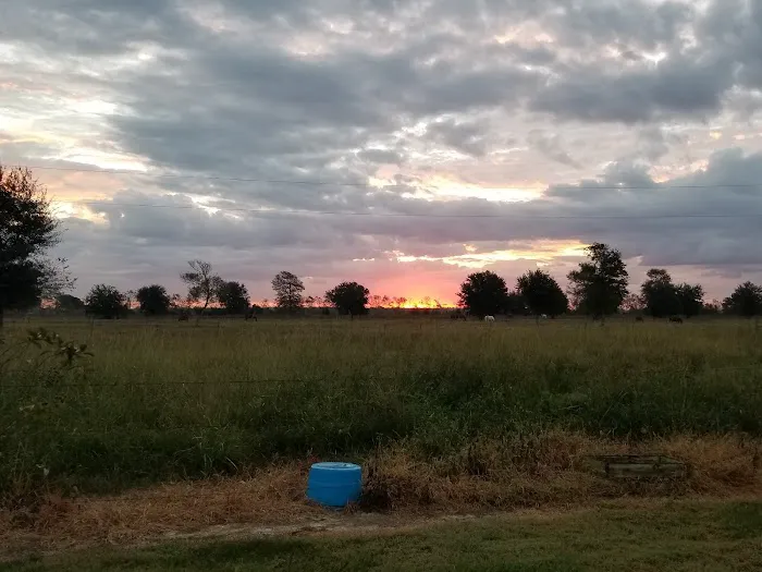 LaBelle RV Park Picture 3