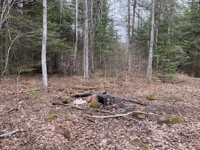 BWCA Campsite #2309 Picture 1