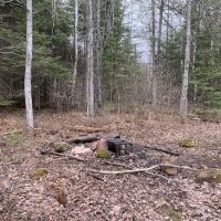 BWCA Campsite #2309 ico