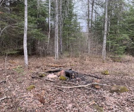 BWCA Campsite #2309