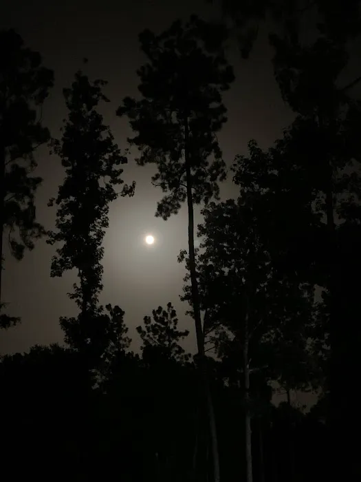 Rocky Creek RV Park Picture 9