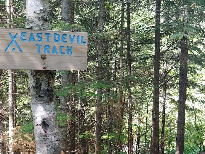 West Devil Track Camp Picture 1