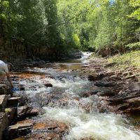 East Devil Track Camp ico