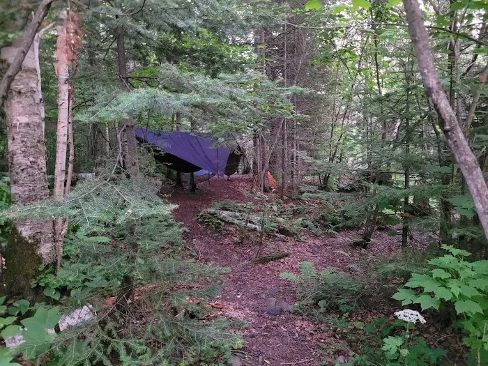 Woods Creek Camp Picture 1